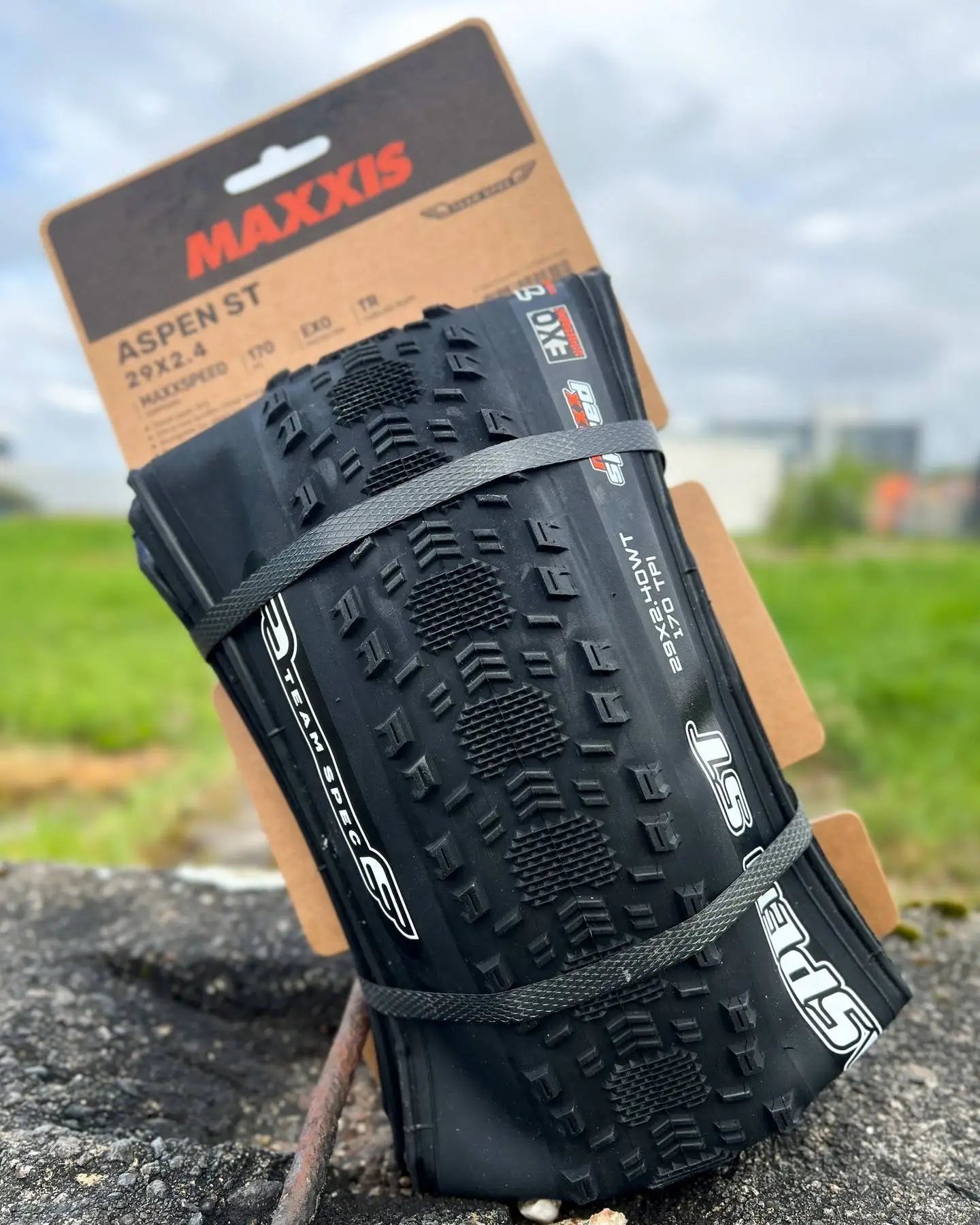 MAXXIS ASPEN Bike Tyre Folding Anti Puncture Tubelss Bike Tire 29x2.1 29x2.25/2.4 Mountain Original XC Off-road Bicycle Tires